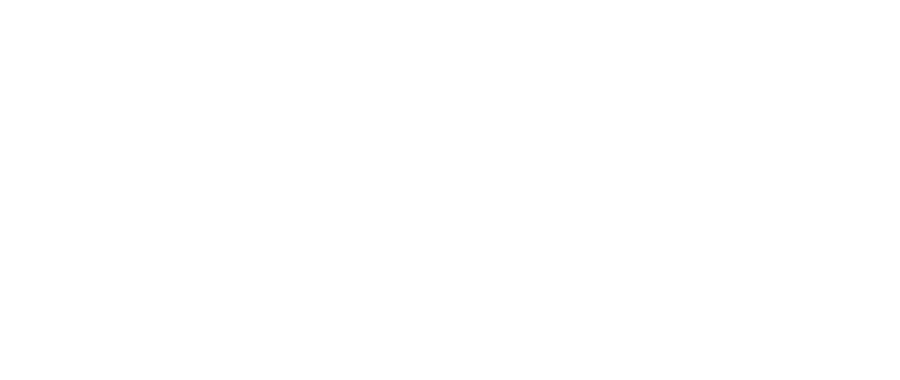 Arc'auto 21